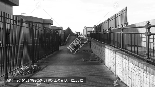 碼頭景觀