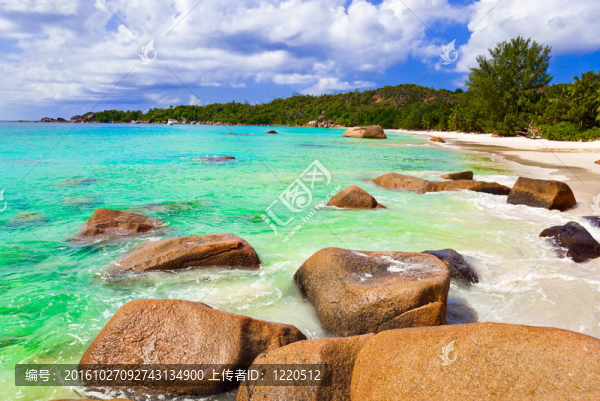 Anse,Lazio在塞舌爾海灘島普拉蘭島；