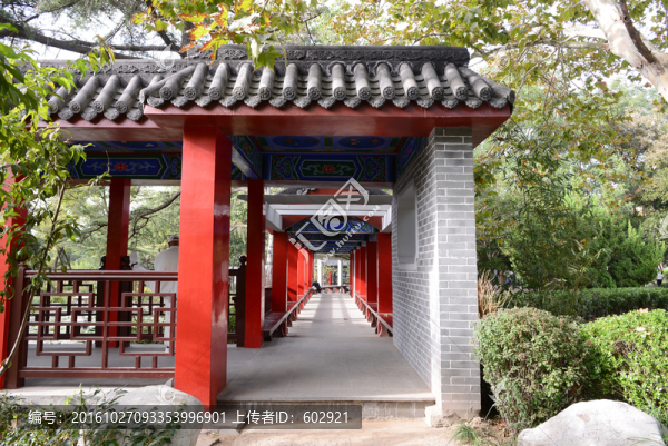 滄口公園走廊