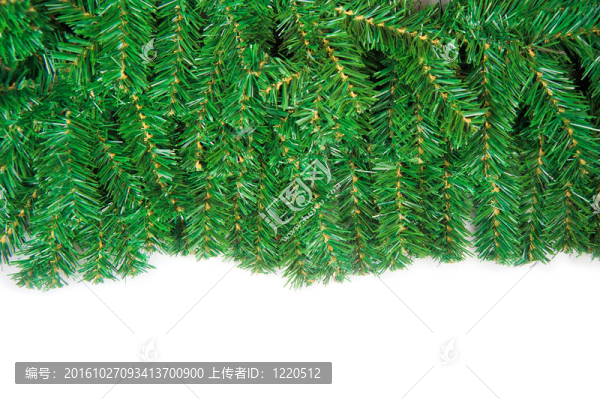 圣誕綠框隔離