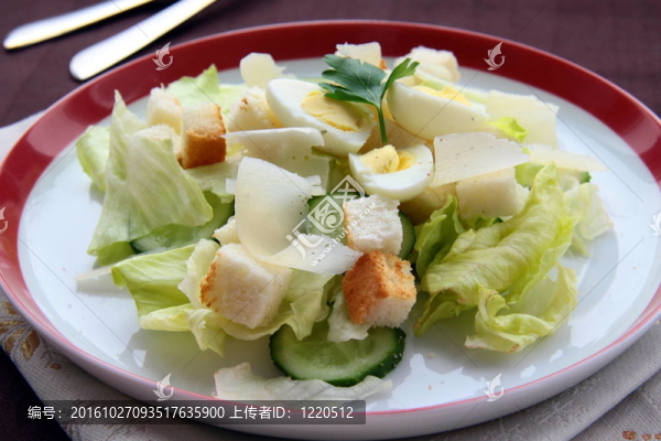 撒沙拉碗