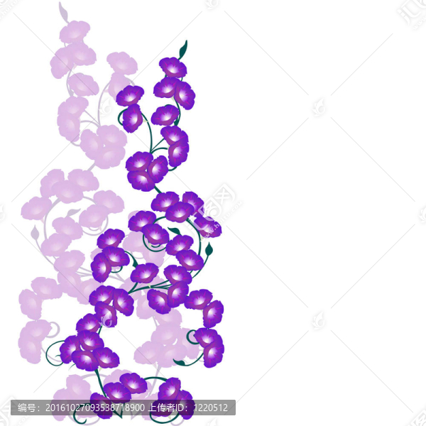 牽牛花賀卡