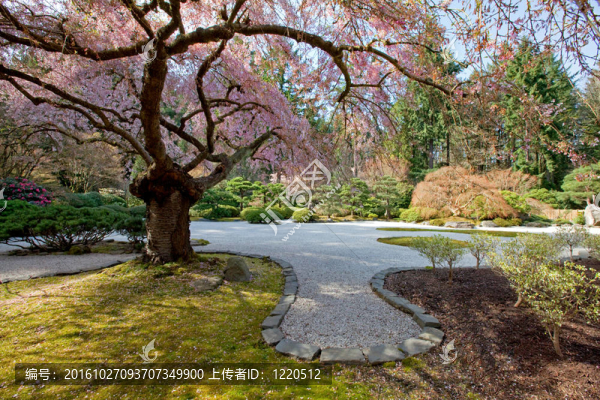 日本式庭園