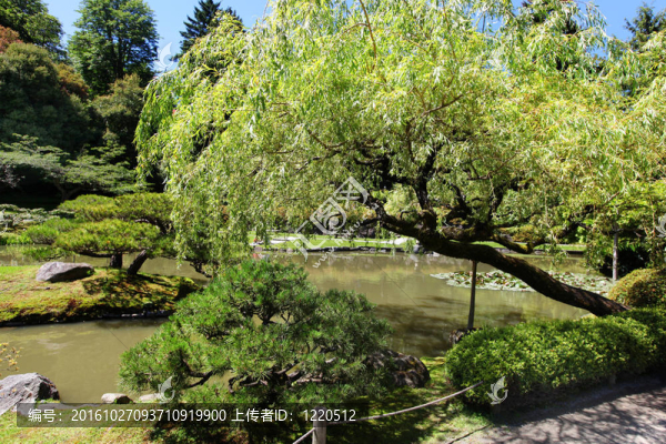 日本式庭園