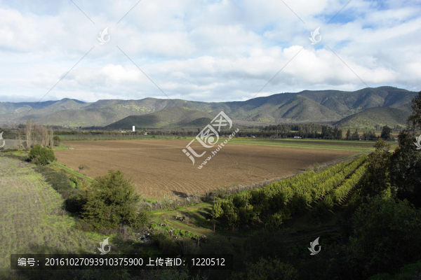 農(nóng)田景觀