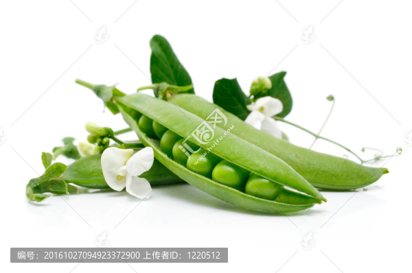 豆莢里的新鮮綠色豌豆
