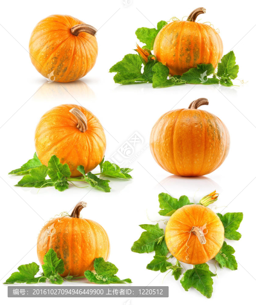 綠葉蔬菜南瓜