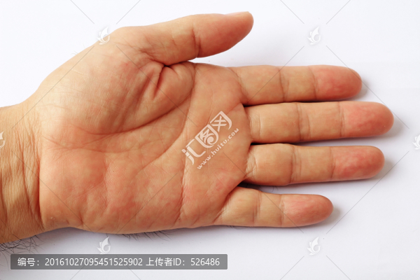 手掌