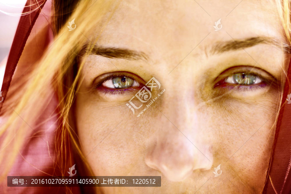 女人的美麗的眼睛特寫肖像