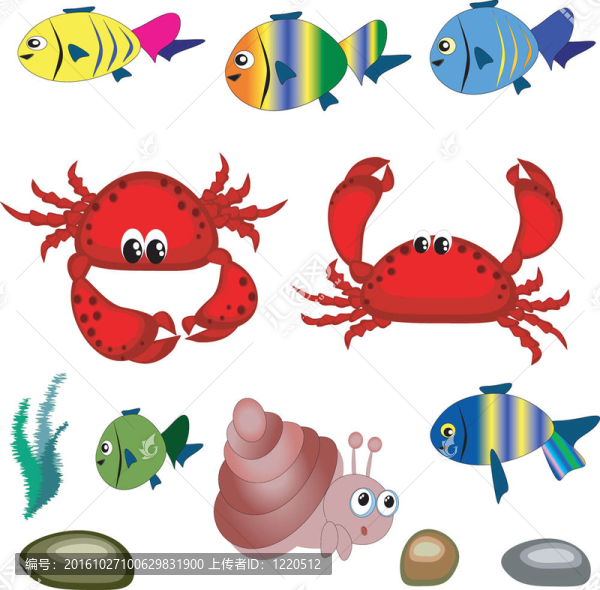 海洋動(dòng)物。