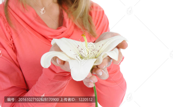 莉莉在女性手中