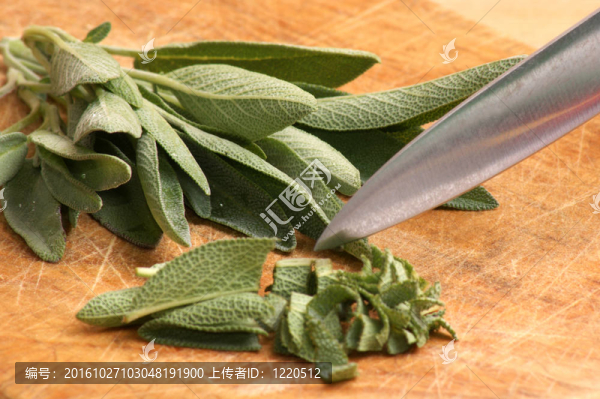 有機(jī)鼠尾草；作為每一廚房的香料