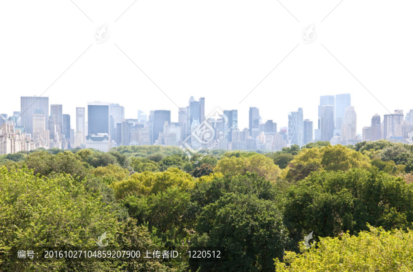 曼哈頓天際線和中央公園