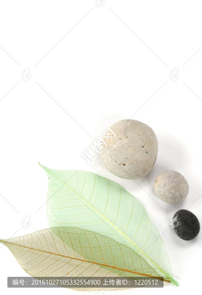 溫泉成分