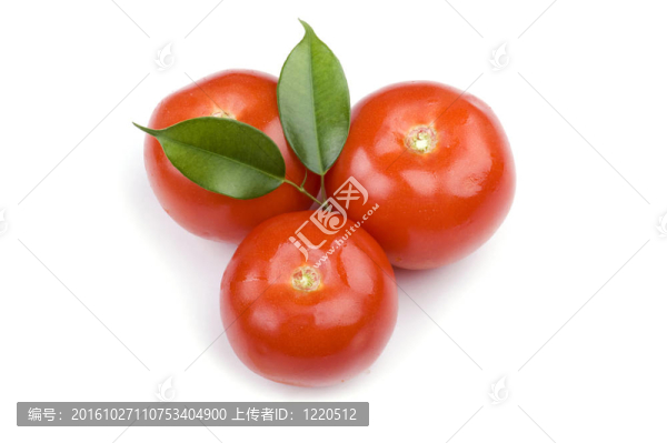 紅番茄收起來