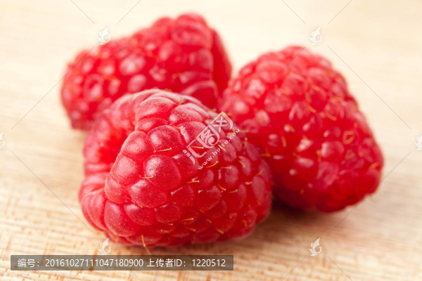 紅樹莓