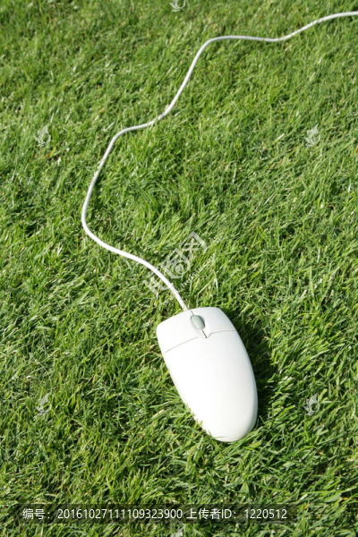 電腦鼠標(biāo)