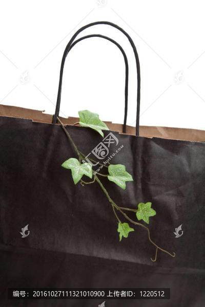 黑紙購物袋及植物
