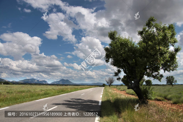 法國南部公路