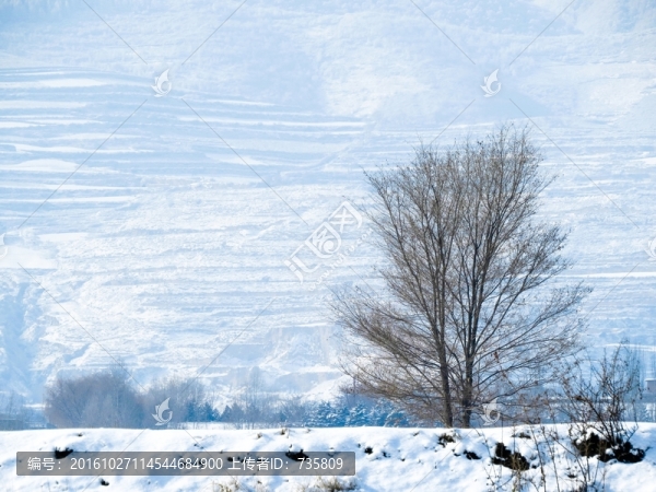雪地
