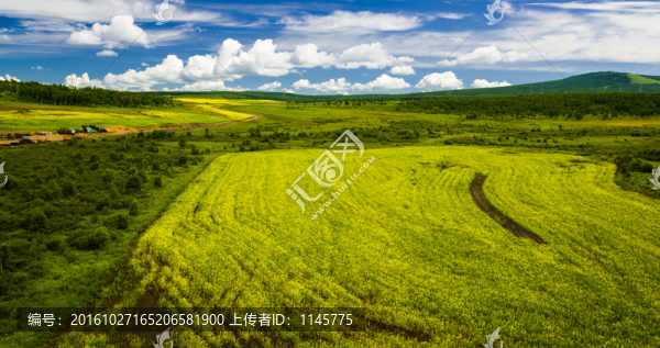 草原野花風(fēng)景