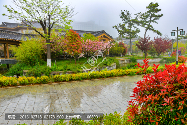 雨中園林