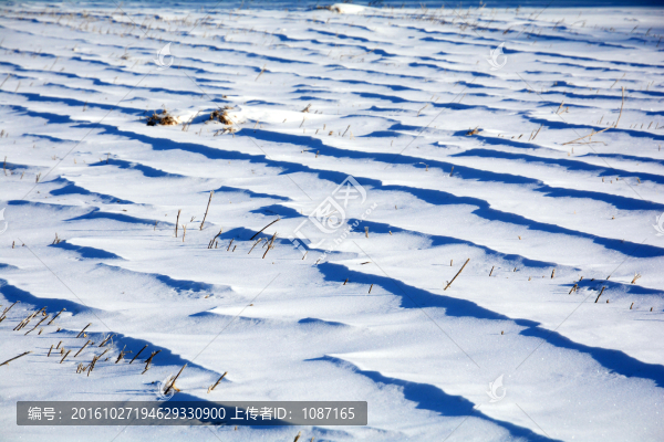 白雪皚皚