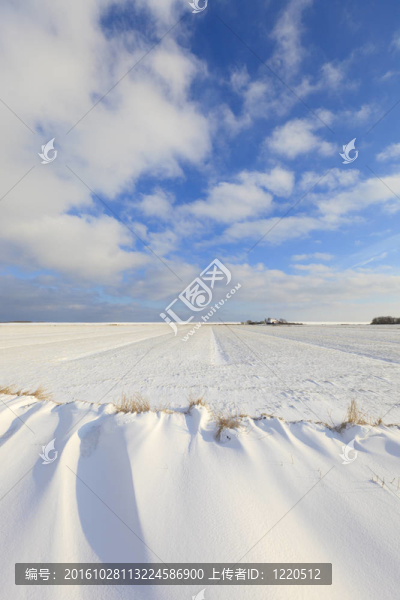 snowdunes在荷蘭北部sneeuwduinen,Het,F