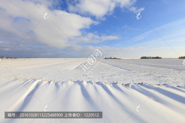 snowdunes在荷蘭北部sneeuwduinen,Het,F