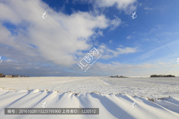 snowdunes在荷蘭北部sneeuwduinen,Het,F