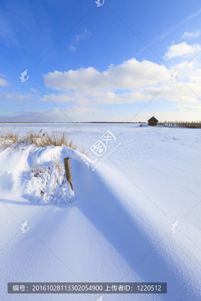snowdunes在荷蘭北部sneeuwduinen,Het,F