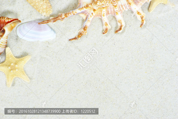 貝殼砂