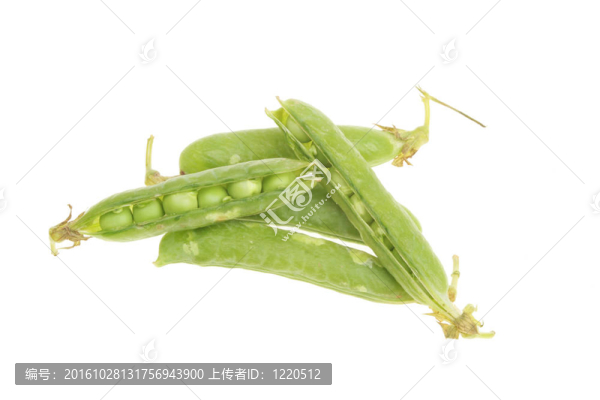 鮮豌豆莢