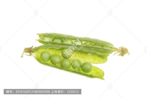 鮮豌豆莢