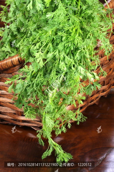 有機(jī)香菜在籃子里
