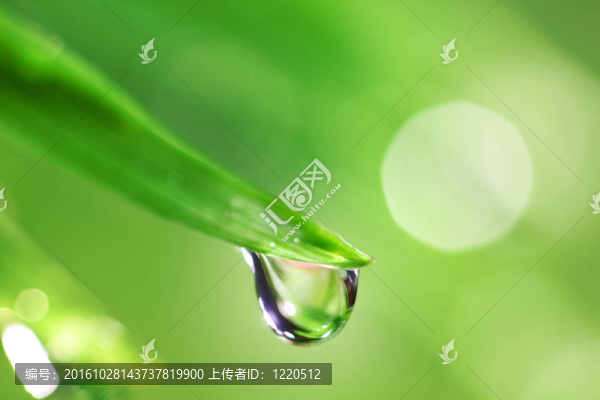 大水滴
