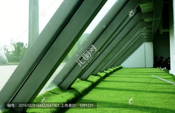 草地
