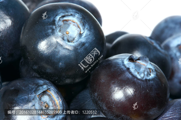 藍莓