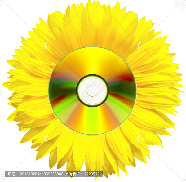 cd-flower