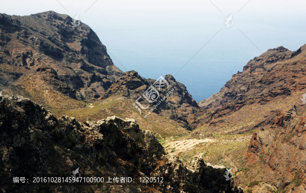 加那利群島