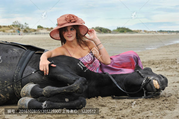 海灘上的女孩和馬
