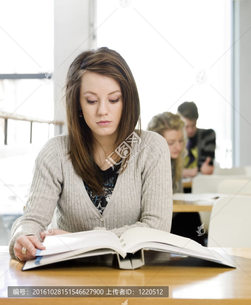 讀書的女孩