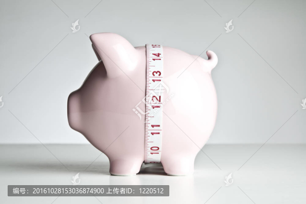 小豬銀行和磁帶測(cè)量