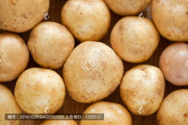土豆特寫