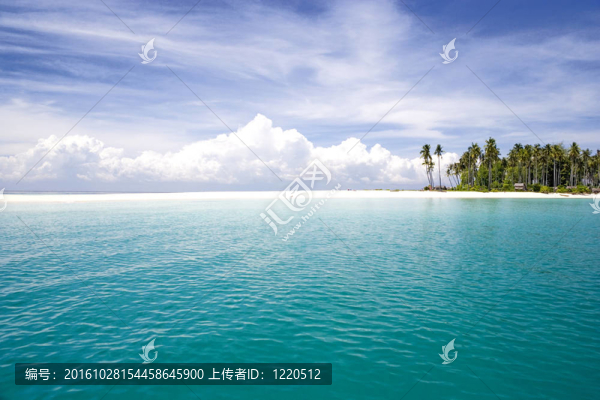 熱帶島嶼和Sea