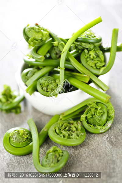 特色蕨菜