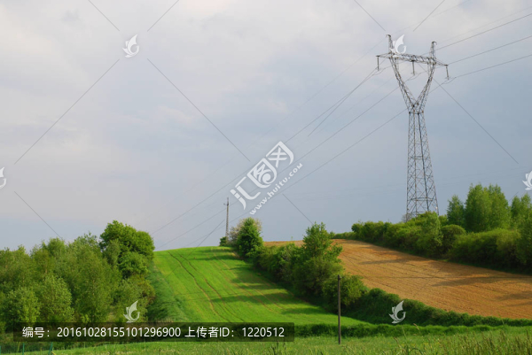 電源線