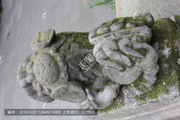 獅子,石獅子,石獅,石像,小獅
