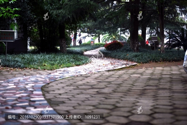路
