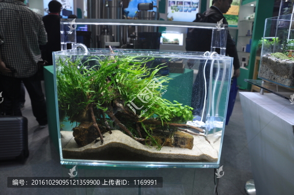 魚缸